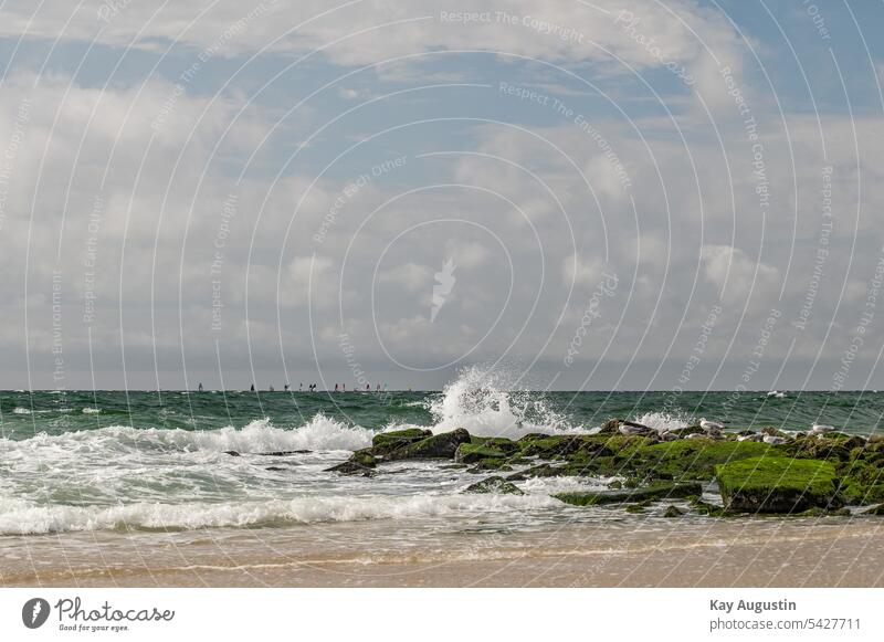 Wellenschlag an einer Steinbuhne Sylt Nordseeküste Wellengang Möwen Wellenkamm Brandung Windsurfer Surfsegel Wettkampf Surfsport Windsurfen Wetter Sportlich