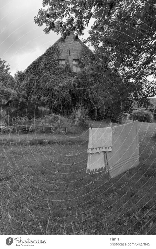 Wäscheleine Bauernhof bnw Sommer Handtücher Außenaufnahme Menschenleer Tag Schwarzweißfoto s/w trocknen Waschtag hängen Sauberkeit aufhängen Alltagsfotografie