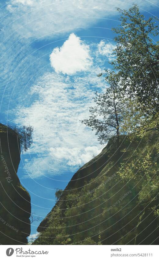 Spaltbares Material Elbsandsteingebirge Berge u. Gebirge Felsen Urelemente Himmel Wolken Umwelt Landschaft Sächsische Schweiz Wald Bäume Idylle Farbfoto