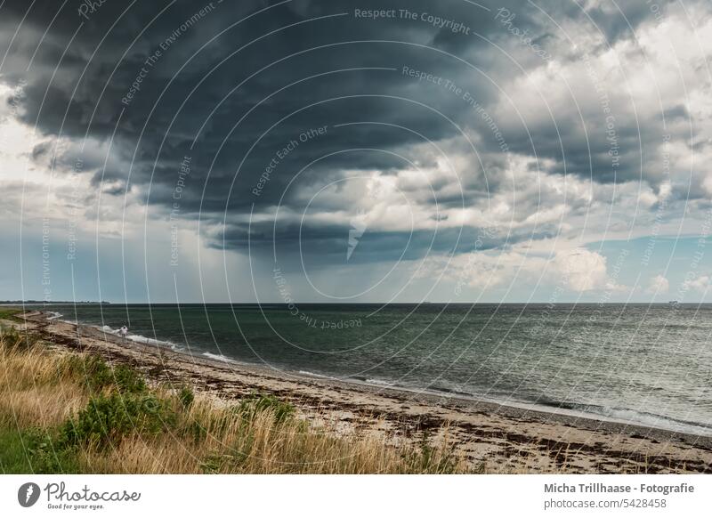 Aufziehende Regenfront über der Ostsee Wolken Wolkenformation Unwetter Gewitter Sturm Dänemark Langeland Wetter Küste Wasser Sand Gras schlechtes Wetter Natur
