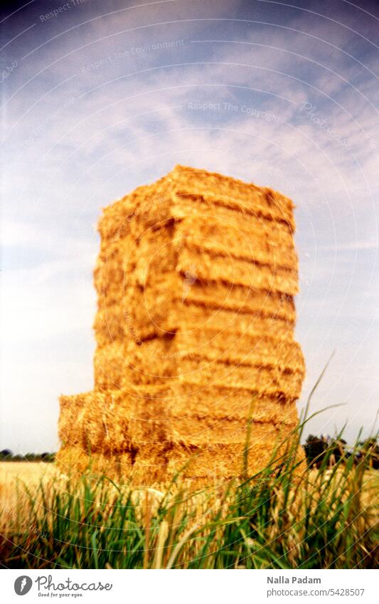 gestapeltes Stroh analog Analogfoto Farbe LoFi Turm Stapel hoch Himmel Gras Landwirtschaft Feld Gebilde