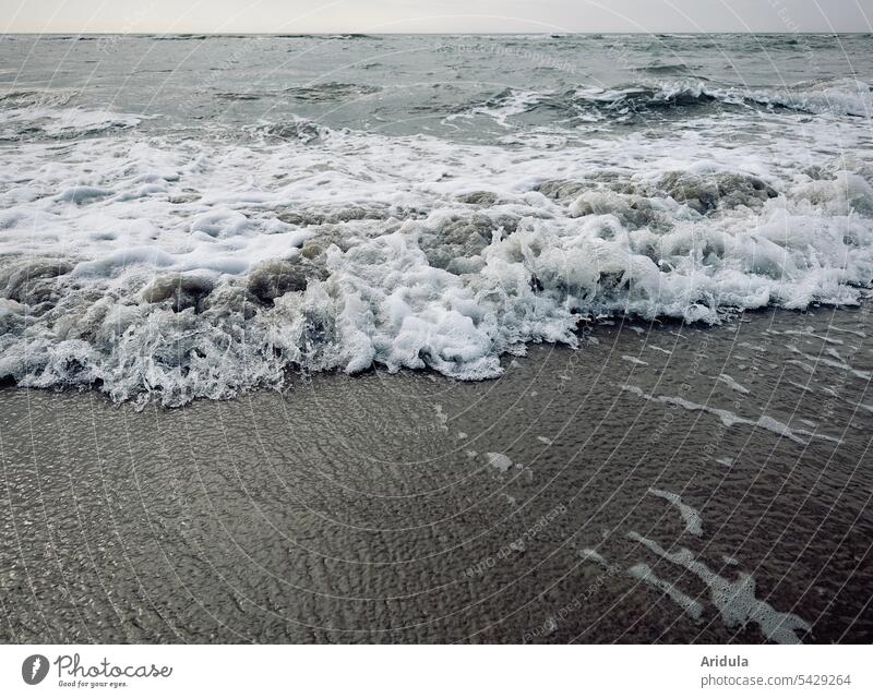 Aufgewühlte Wellen schlagen an den Strand Meer Schaum Meerschaum Nordsee Nordseeküste Wasser Ferien & Urlaub & Reisen Natur Landschaft Küste trüb grau stürmisch
