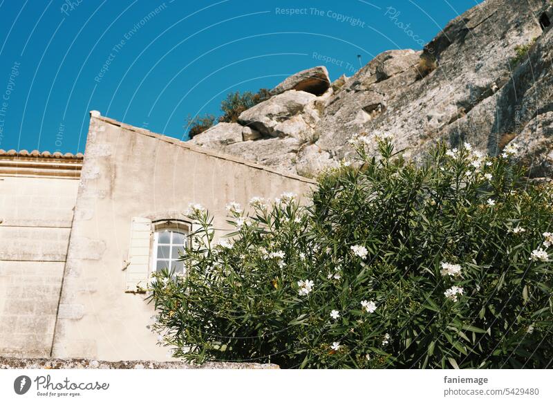 Oleander für immer Steinwand Frankreich Les Baux-de-Provence mediterran Mittelmeer Sommer südfrankreich Reisefotografie Urlaub sommerlich Felsen Haus Dorf