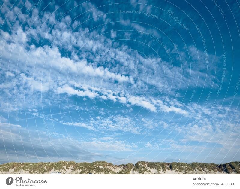 Himmel über Nordseedünen Wolken Düne Dünen Dünengras Landschaft Küste Natur Ferien & Urlaub & Reisen Strand Sand Nordseeküste Erholung Dänemark Tourismus Meer