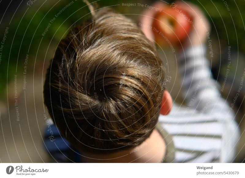 Junge von oben mit Apfel in der Hand Nachwuchs Jugend Pubertät Sohn Essen Schule Pause Heranwachsen