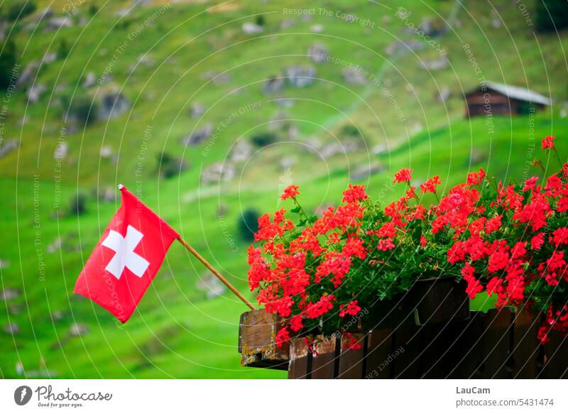 In der Schweiz Nationalflagge Flagge Heimatliebe rot Fahne Geranien Balkon grün in den Bergen Stolz Patriotismus grüner Hintergrund Hütte