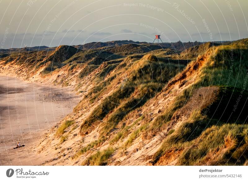 Dünen am Strand von Vorupør in Dänemark II Sand Farbfoto Erholung Strandleben Ferien & Urlaub & Reisen baden Erholungsgebiet Urlaubsstimmung Meer