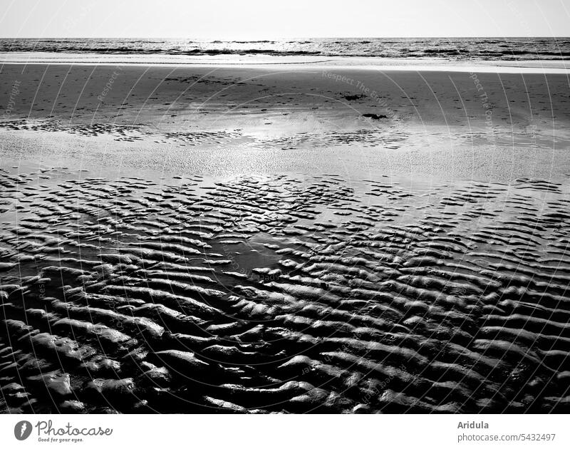 Meeresspuren im Sand am Strand Nordsee Wellen Spuren Küste Wasser Schatten Sonne Gegenlicht Muster Strukturen & Formen Natur Ferien & Urlaub & Reisen Sommer