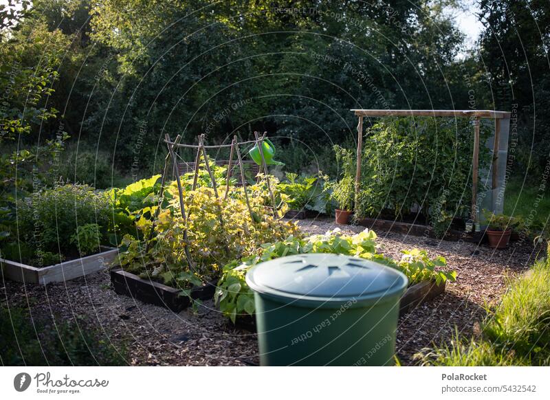 #A0# Gartenfreuden Gartenarbeit Gartenbau Gartenpflanzen Kleingarten wassertonne Tomaten anbauen Bioprodukte Biologie bio Biologische Landwirtschaft beete