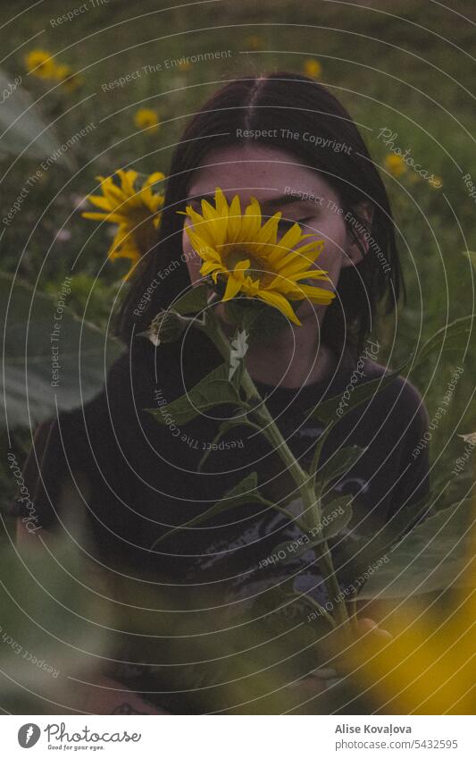 Sonnenblumen und ich Sonnenuntergang grün gelb Natur Porträt Selbstportrait Schwarzes Haar Farbfoto Blume Sonnenblumenfeld