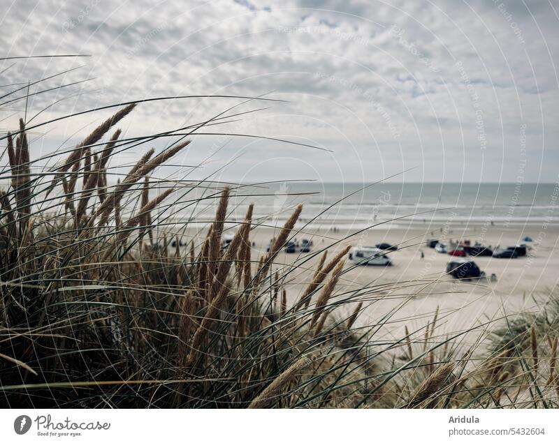 Blick von einer mit Gräsern bewachsenen Düne auf den belebten Strand bei Wind Meer Nordsee Autos Camper Dünengras Sand Wellen Küste Ferien & Urlaub & Reisen