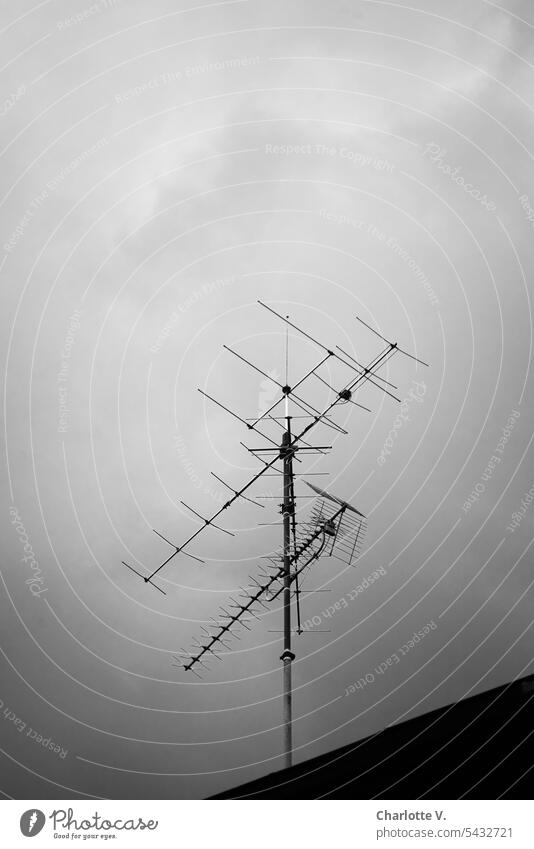 Weltempfänger | Fernsehantenne ragt in den bedeckten Himmel Antenne Dach Wolken Technik & Technologie Tag schlechtes Wetter Wolkendecke grauer Himmel