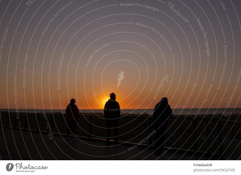 Personensilhouetten bei Sonnenuntergang an der Ostsee Meer Silhouette Himmel Abend Strand Wasser Horizont Küste Landschaft Natur Sommer Sonnenlicht