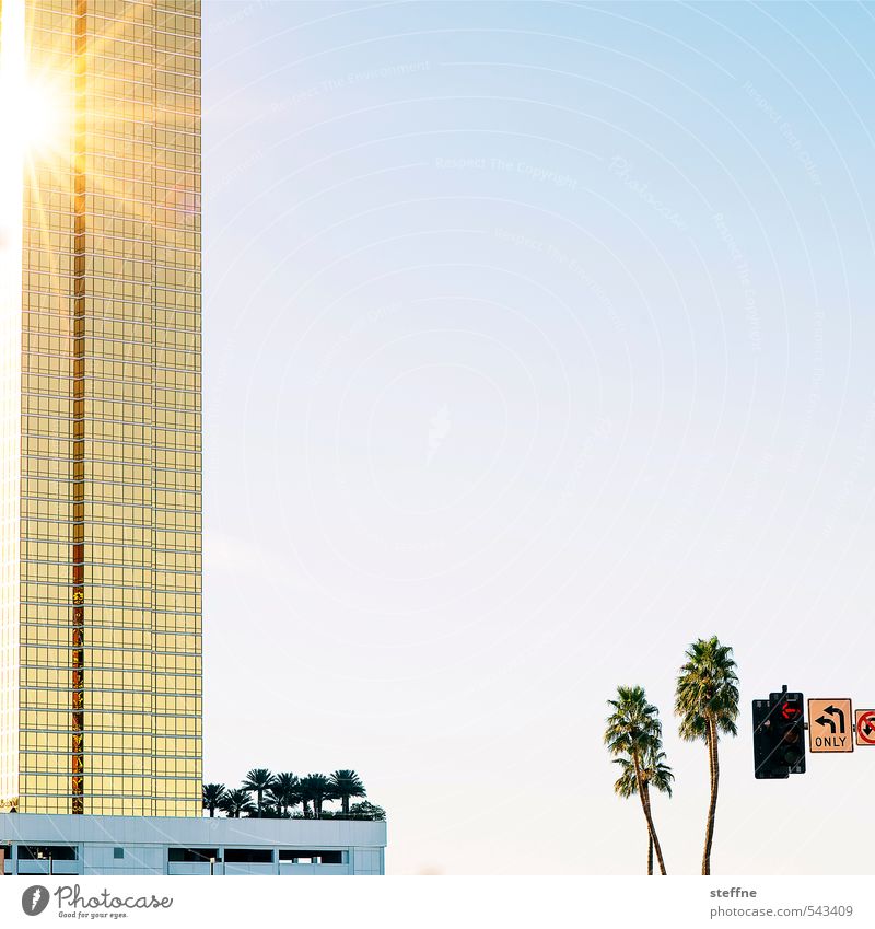 Around the World: Sin City Hochhaus außergewöhnlich Stadt Abendsonne Las Vegas Palme Schönes Wetter Reflexion & Spiegelung Sonnenlicht Glücksspiel