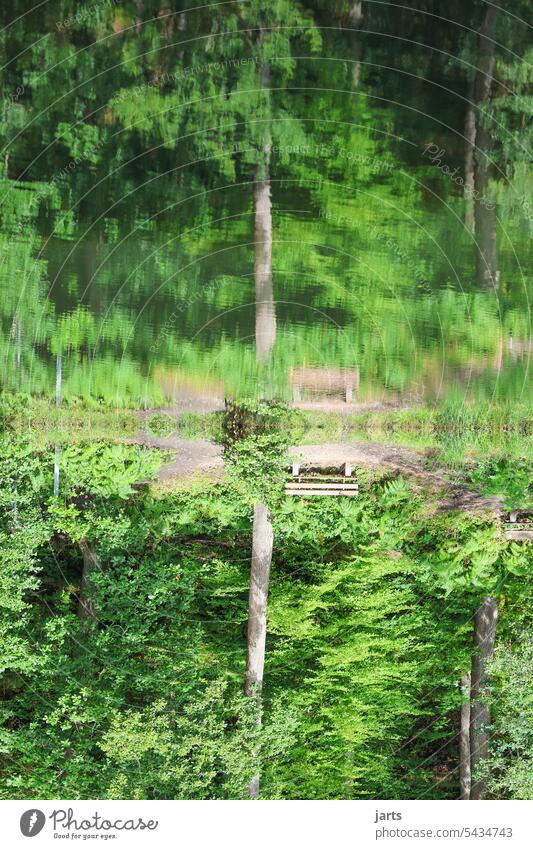 Spiegelbild Spiegelung See Wasser Wasseroberfläche Wald Bäume Bank Ruhe Idylle stille ruhig Natur Reflexion & Spiegelung friedlich Seeufer Wasserspiegelung