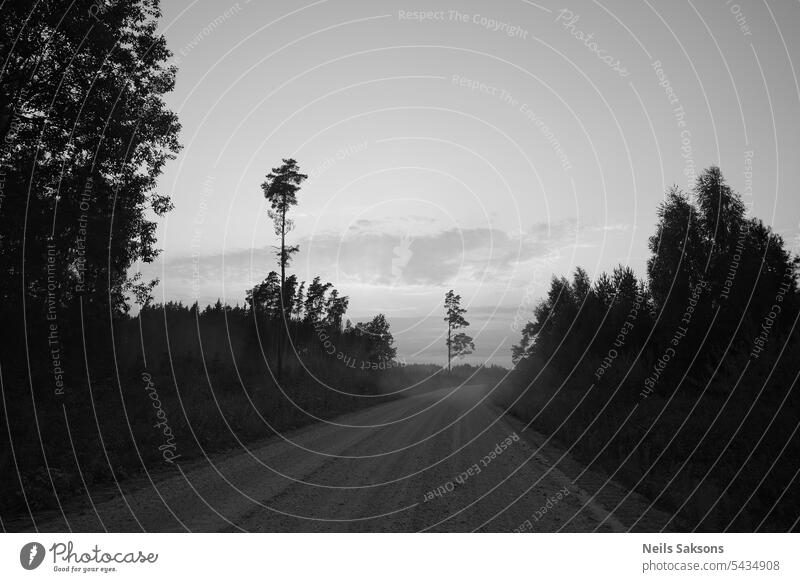 Lettland, Landstraße durch Wald, einzelne Bäume, Sommerabend in schwarz-weiß Asphalt schön schwarz auf weiß Wolken leer Gras grün Landschaft Meditation neblig