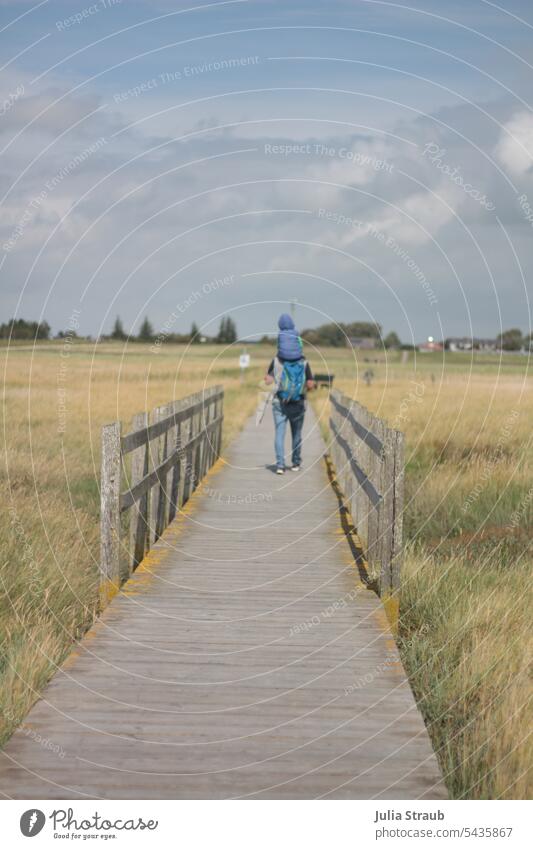 Mann mit Kind läuft über Steg in den Salzwiesen Gras grün Holz Holzsteg Holzgeländer Brückengeländer Wege & Pfade ruhig Sommer Vater Kindheit getragen
