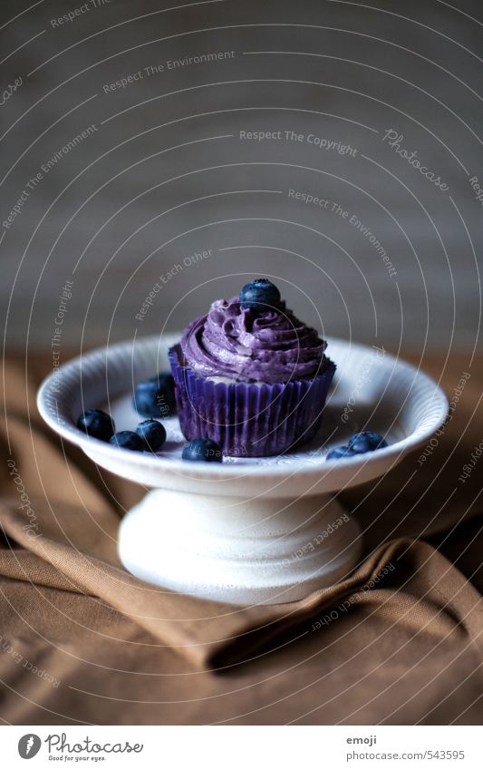 "gesund" Frucht Kuchen Dessert Süßwaren Ernährung Picknick Fingerfood lecker süß violett Blaubeeren Cupcake Kalorienreich Farbfoto Innenaufnahme Menschenleer