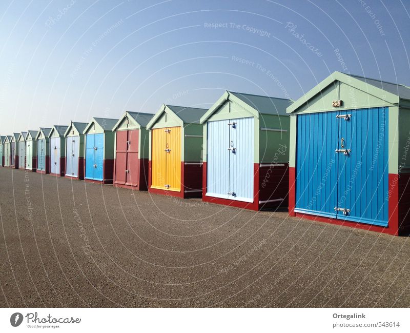 Strandhütten Brighton Großbritannien Europa Stadt Menschenleer Holz Sport mehrfarbig Farbfoto Außenaufnahme Textfreiraum oben Textfreiraum unten Sonnenlicht