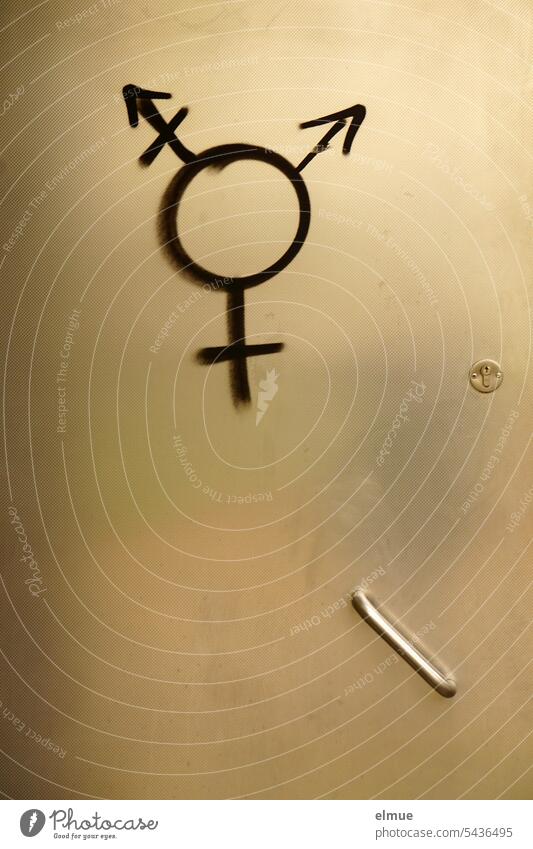 Gendersymbol auf einer Metalltür gendern männlich weiblich divers Diversität Toilettentür Piktogramm Gleichstellung Symbole & Metaphern Schilder & Markierungen