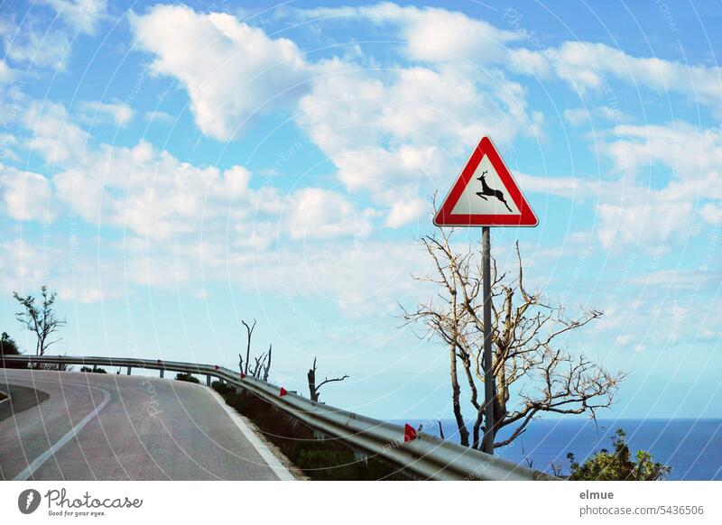 Kurve einer Küstenstraße mit Leitplanke und Verkehrsschild Wildwechsel auf Elba Verkehrszeichen Straßenkurve Gefahrenstelle Italien Mittelmeer Insel Blog