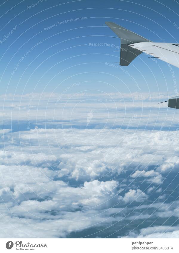 Flugzeug-Tragfläche über den Wolken Flugzeug über den Wolken Himmel Luftverkehr fliegen Ferien & Urlaub & Reisen Flugzeugausblick Farbfoto Passagierflugzeug