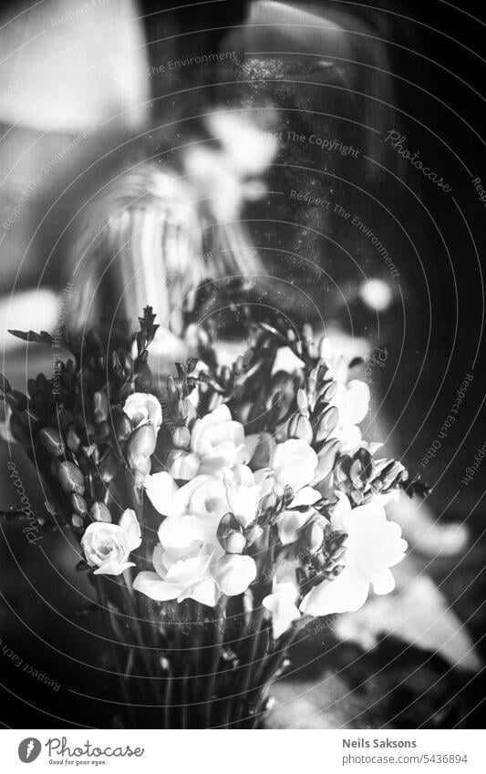 Alles Gute zum Geburtstag Blumen Freesie Unschärfe Monochrom schwarz weiß Blumenstrauß Person Vase Liebe traurig dunkel hell