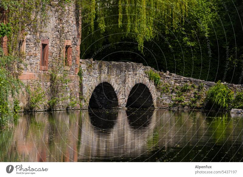 MainFux | auch Löcher halten nicht ewig Brücke alte brücke historisch Teich Spiegelung Wasser Spiegelung im Wasser Gemäuer altes Gemäuer Ruine