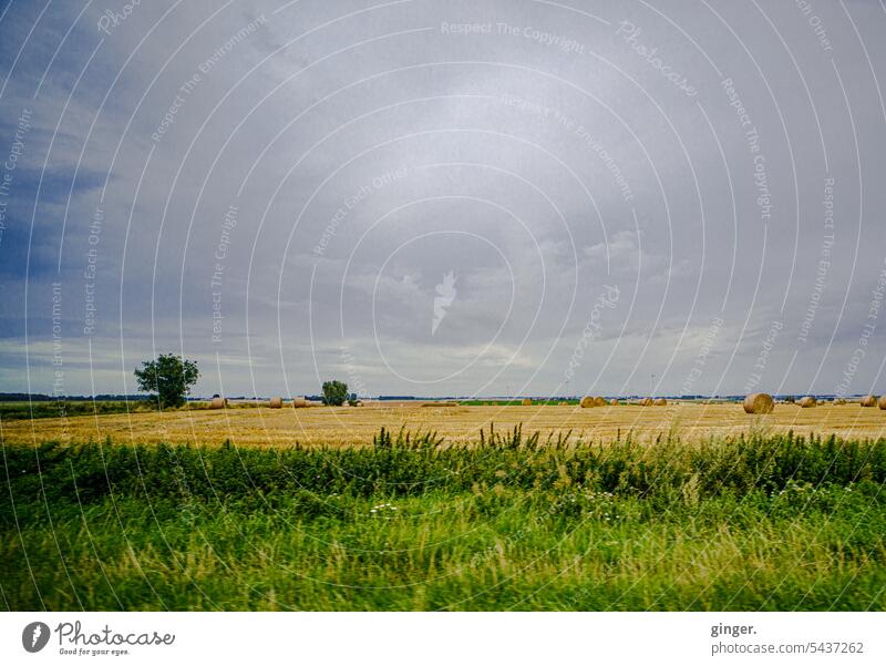 Unterwegs - Landschaft (Nord-Frankreich) Menschenleer Umwelt Natur Farbfoto Außenaufnahme Felder Bäume Tag Himmel Wolken Sommer Horizont unterwegs Ackerbau