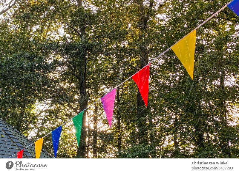 1500 | eine fröhliche bunte Wimpelkette hängt im Wald vor hohen Bäumen Party Jubiläum Partydeko Partydekoration Feste & Feiern Geburtstag