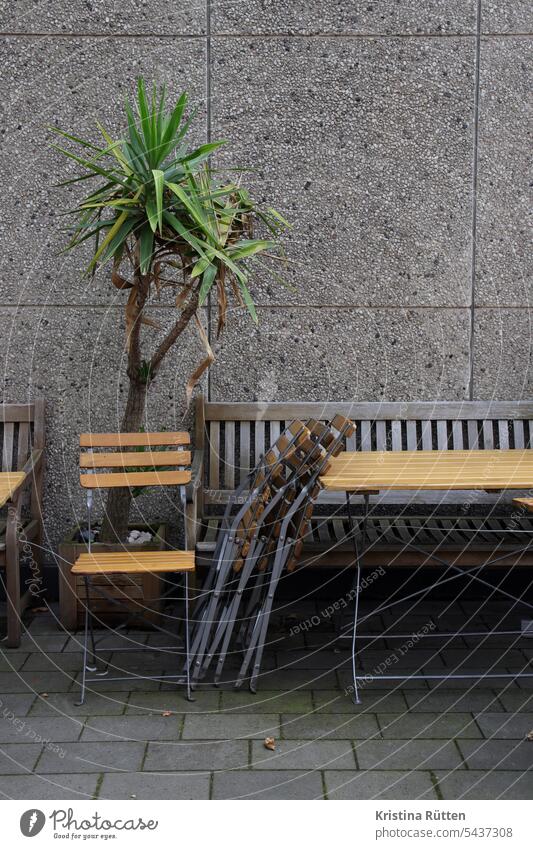 geschlossene café-terrasse mit palme palmlilie yucca tisch stühle bank sitzbank holzbank gartenstühle sitzgruppe gartentisch bistrotisch bistrostühle draußen