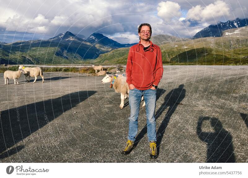 Schafhirte - Unterwegs im Jostedalsbreen/ Norwegen Schafe Tiere wildlebend Mann Hirte Natur Schafherde Tiergruppe Außenaufnahme Europa Abenteuer Aussicht
