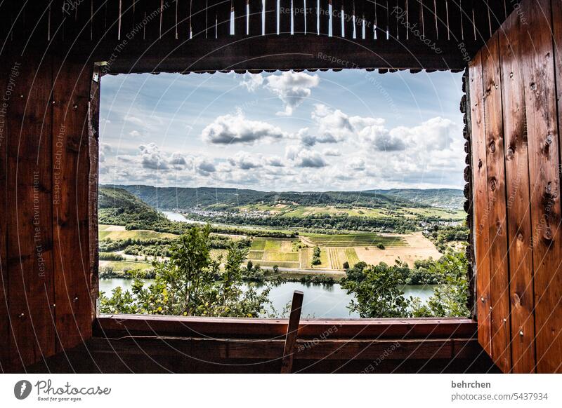 auf gute aussichten! wunderschön Hütte Aussicht Fenster Hunsrück Moseltal Mosel (Weinbaugebiet) Rheinland-Pfalz Flussufer Ruhe Idylle Weinberg Ferne