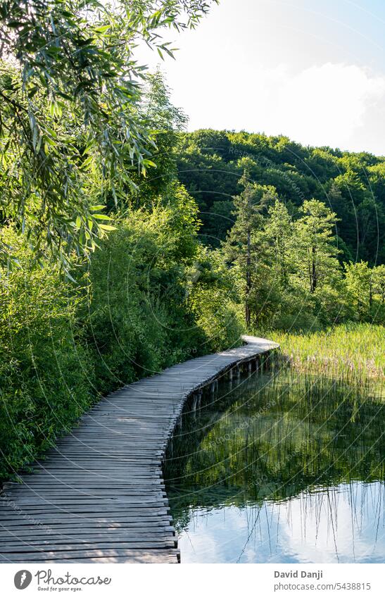Der Nationalpark Plitvicer Seen ist einer der ältesten und größten Nationalparks in Kroatien. Dieses Foto wurde im Juli 2023 aufgenommen. Anziehungskraft