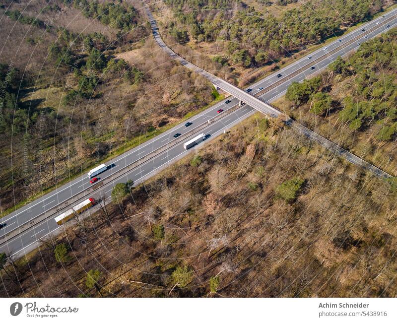 Kranke und beschädigte Bäume im Wald an der Autobahn A67 bei Darmstadt als Luftbildaufnahme krank Luftaufnahme Beschädigte Kohlenstoff-Fußabdruck Brücke