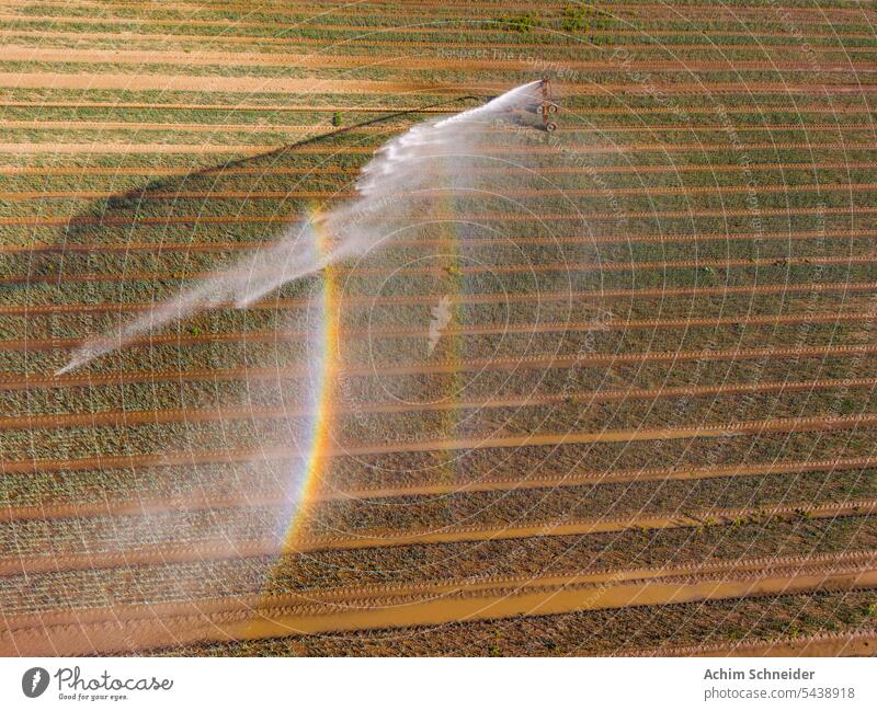 Spektakulärer Regenbogen an einer Bewässerung auf einem Feld Beregner Beregnung Bewsserung Bewsserungsanlage Drre Equipment Feldbewsserung Gischt Hitze