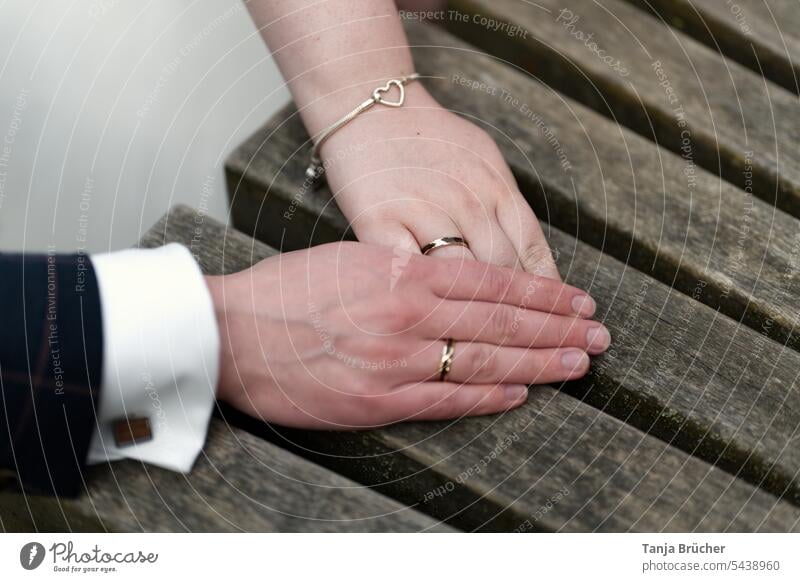Hände eines Hochzeitspaares mit Ringen auf einer Holzbank Eheringe Brautpaar Braut und Bräutigam Ehepaar junges Ehepaar Heirat frisch verheiratet für immer