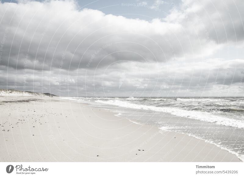 Kühler Tag am Strand Sand Nordsee Wasser Wellen Dünen Wetter kühl Himmel Wolken Weite Ferien & Urlaub & Reisen Dänemark Küste Nordseeküste Natur Landschaft