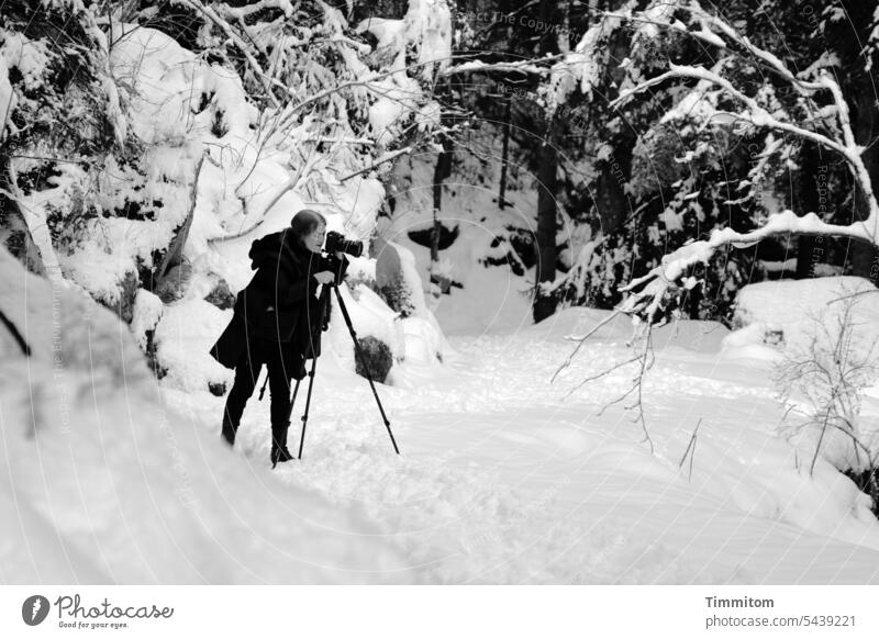 Und es ward Winter! Schnee kalt Baum weiß Natur Berge u. Gebirge Fotografieren Frau Stativ Schwarzwald Schwarzweißfoto Außenaufnahme