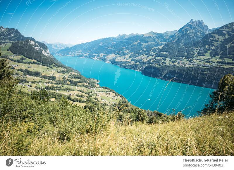 Wiese vor Türkis farbenen See türkis Walensee Schweiz Tourismus Himmel Landschaft Blauer Himmel Berge u. Gebirge Natur Alpen Aussicht Wanderung blau