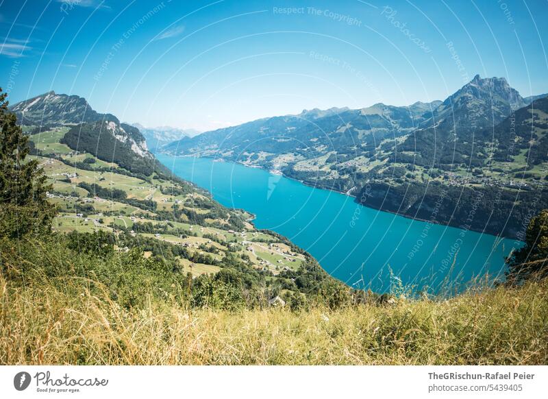 Wiese vor Türkis farbenen See türkis Walensee Schweiz Tourismus Himmel Landschaft Blauer Himmel Berge u. Gebirge Natur Alpen Aussicht Wanderung blau