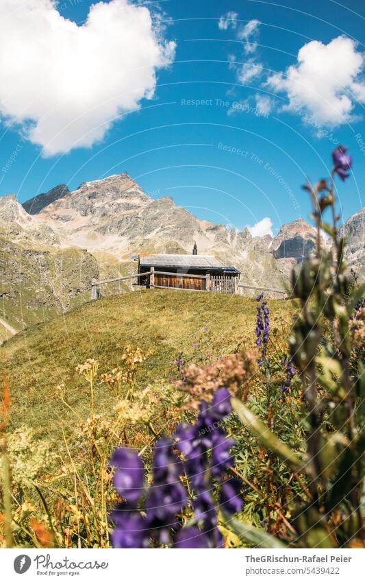 Chalet vor Bergen mit Blumen im Vordergrund Wanderung Engadin guarda Schweiz Gras Sonne sonnig Sonnenlicht Wolken Blauer Himmel Berge u. Gebirge Herz