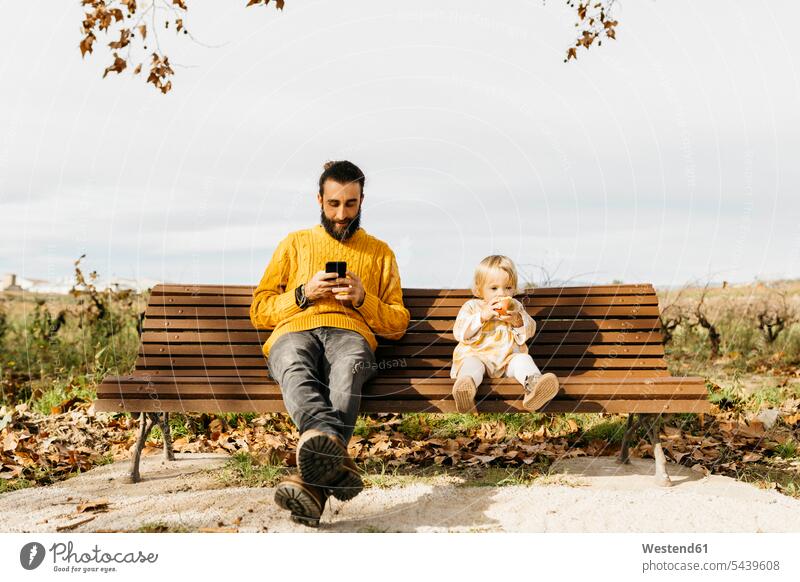 Vater und Tochter sitzen auf einer Bank im Park im Herbst, Vater mit Smartphone, Tochter isst einen Apfel morgens Morgen früh Frühe essen essend benutzen