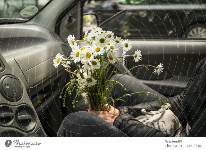 Frau sitzt mit Blumen im Auto Europäer Kaukasier kaukasisch Europäisch Fahrzeuginnenraum Natur Margerite Margeriten Leucanthemum Leucanthemum vulgare