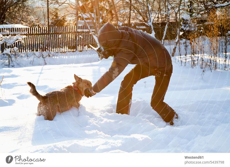 Mann fotografiert und spielt mit Hund im Schnee Europäer Kaukasier kaukasisch Europäisch ein Tier 1 Ein Tier einzeln eins Einzelnes Tier Außenaufnahme außen