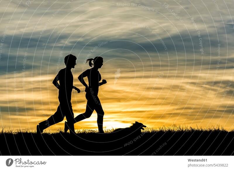 Deutschland, Paar joggt mit Hund bei Sonnenuntergang Partnerschaft Pärchen Paare Gegenlicht Gegenlichtaufnahmen Mann männlich Männer Freizeit Muße Silhouette