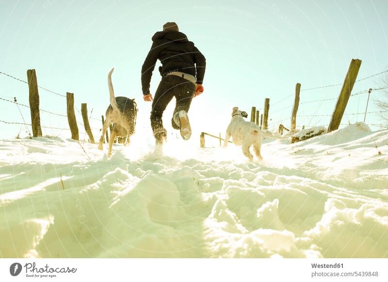 Deutschland, Bergisches Land, Mann rennt mit Hunden in Winterlandschaft Europäer Kaukasier kaukasisch Europäisch Bewegung sich bewegen Jagdhund Jagdhunde
