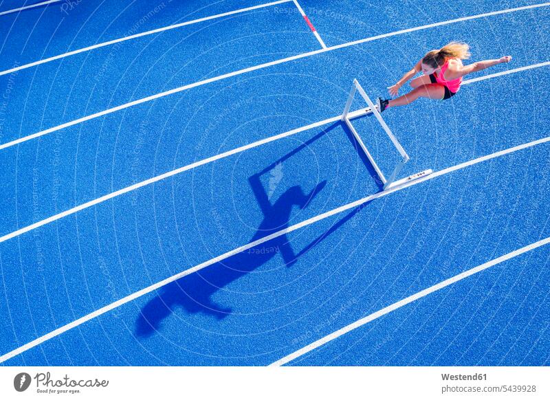 Draufsicht auf Läuferin beim Überqueren der Hürde auf der Tartanbahn Leichtathletik Huerde Hürden Huerden Sportlerin Sportlerinnen laufen rennen Laeuferinnen