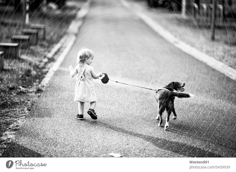 Rückenansicht eines kleinen Mädchens, das mit seinem Hund die Straße entlang läuft Europäer Kaukasier Europäisch kaukasisch Rückansicht Rueckansicht