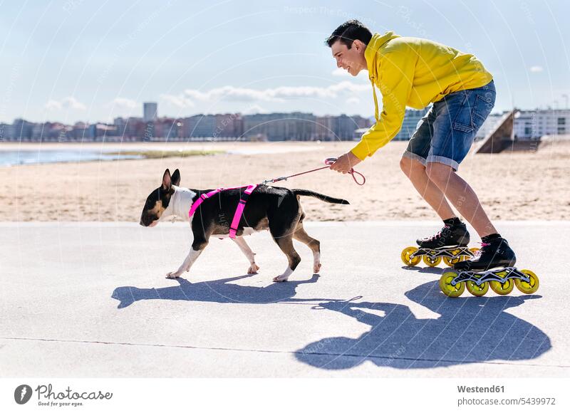 Inline-Skater mit seinem Bullterrier Inlineskates Inline skates inline skate Inliner Hund Hunde Mann Männer männlich Rollerblades Inlineskaten rollerskate